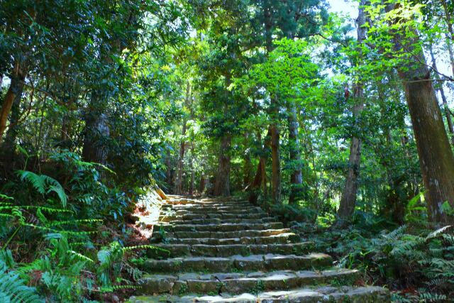 新緑の熊野古道