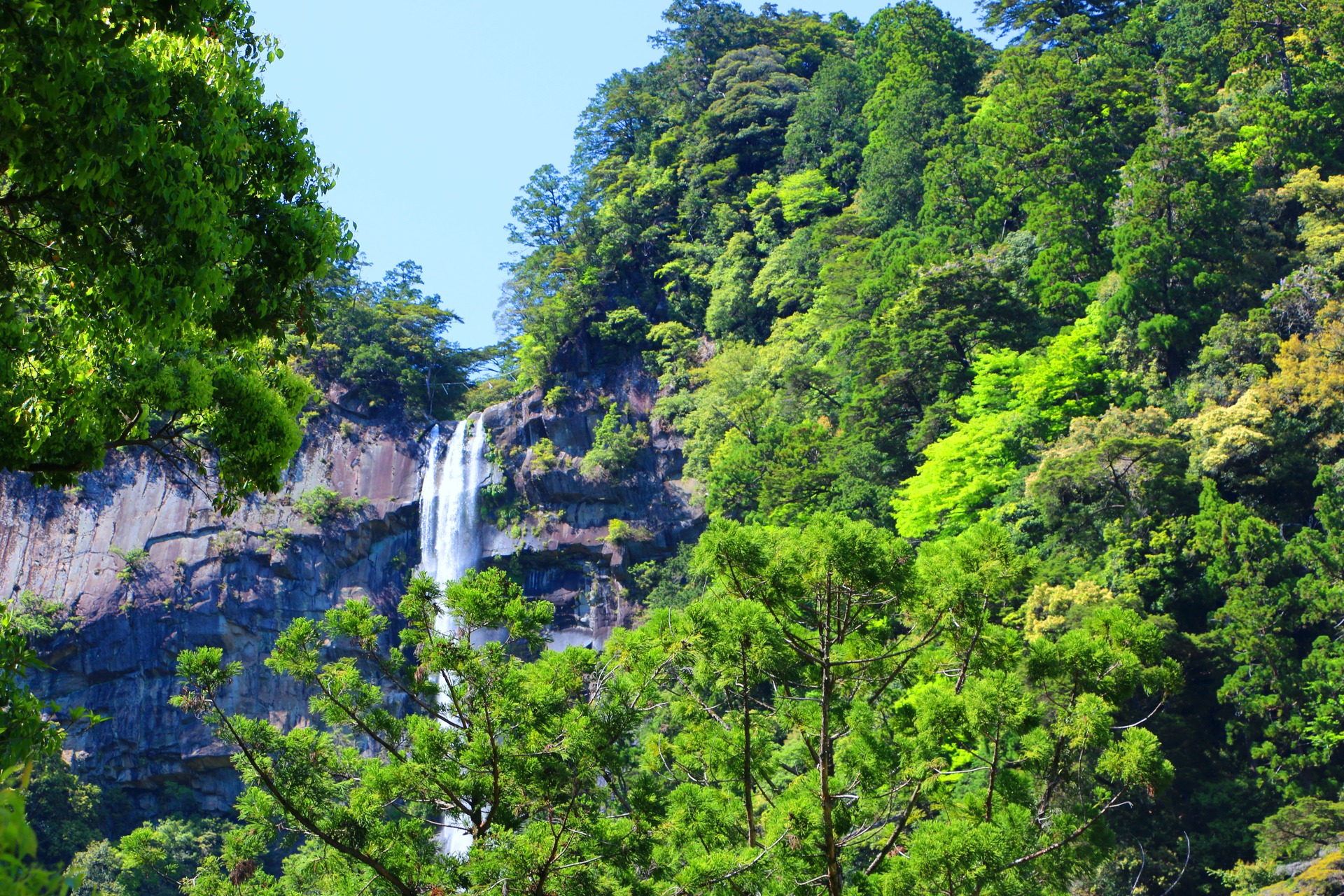 日本の風景 新緑の那智の滝 壁紙19x1280 壁紙館