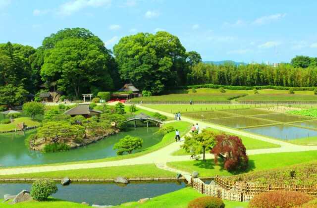 新緑の後楽園