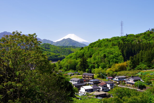 新緑の山並みと富士山