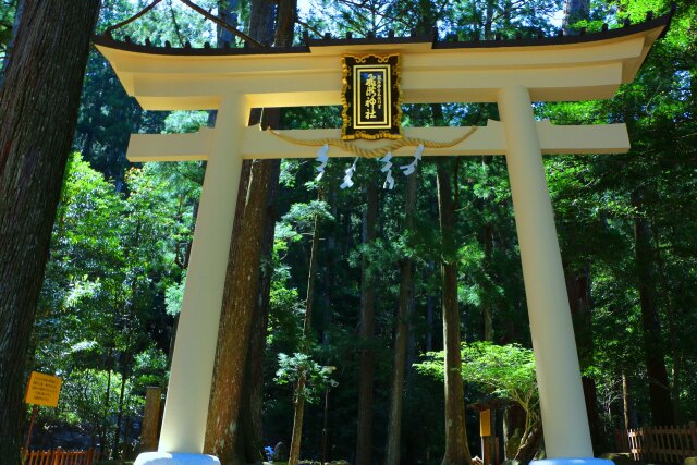 新緑の飛瀧神社