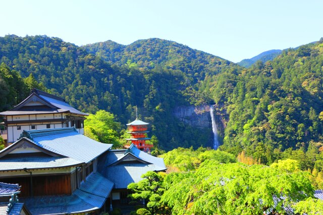 新緑の那智大社