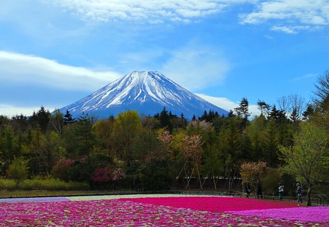 富士山