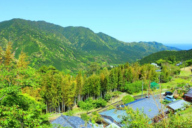 新緑の紀伊山地