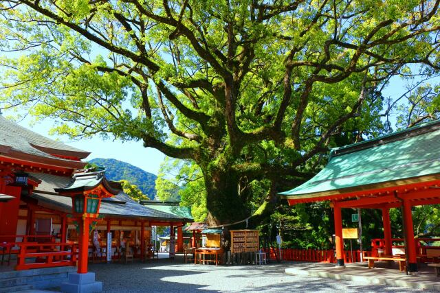 新緑の那智大社