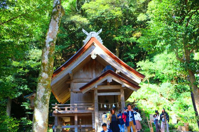 新緑の出雲大社