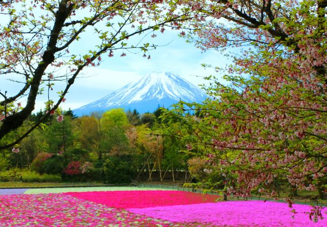 富士山