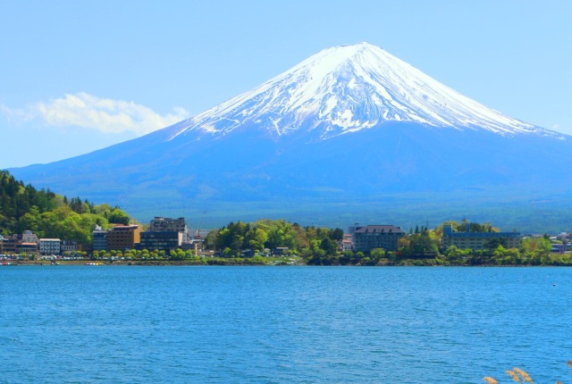 新緑の富士山