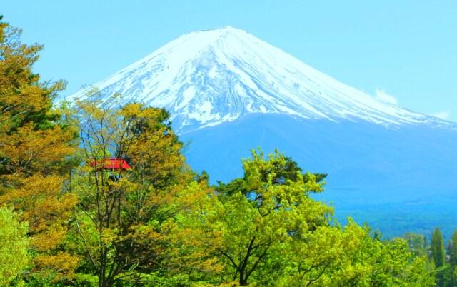 新緑の富士山