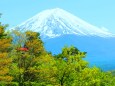 新緑の富士山