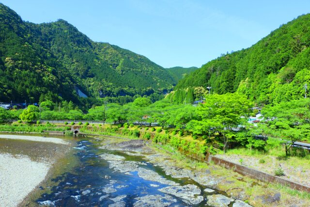 新緑の5月