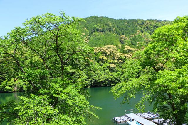 新緑の5月