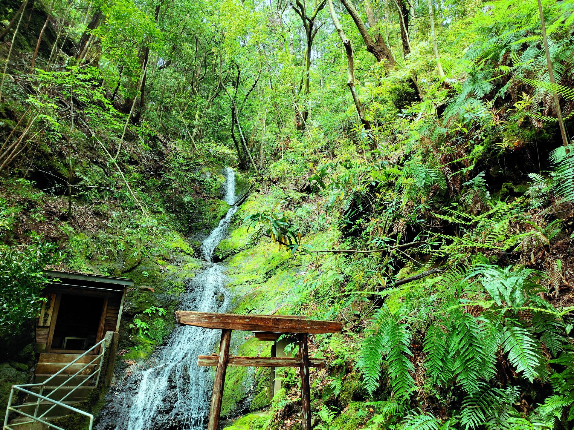 日本の風景 新緑の熊野古道 壁紙19x1440 壁紙館