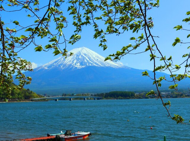 新緑の富士山