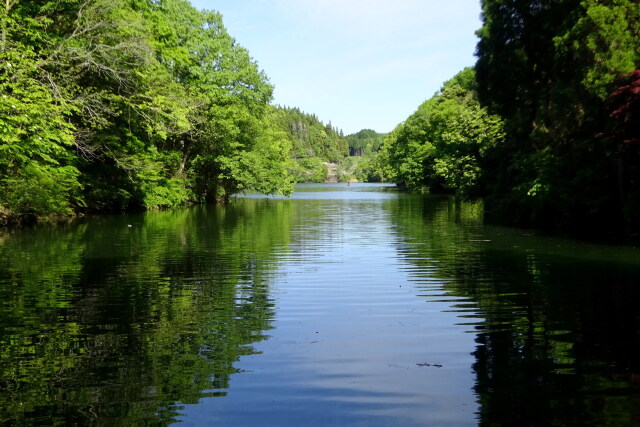 新緑の静かな湖