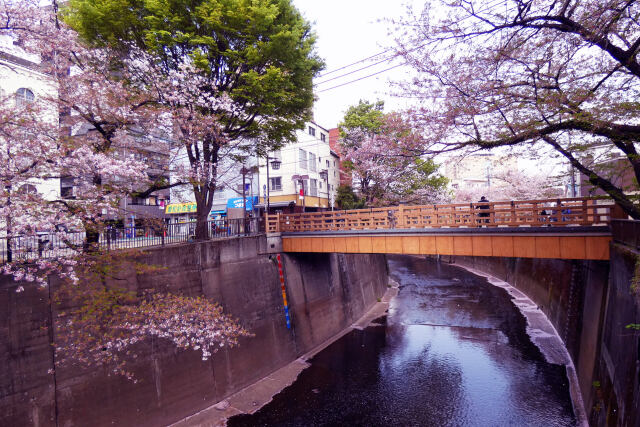 春の板橋