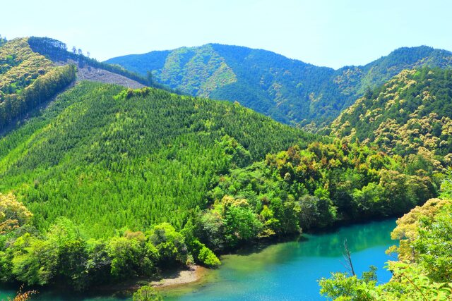 新緑の紀伊山地