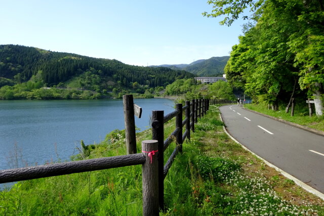 湖周回のサイクリングコース