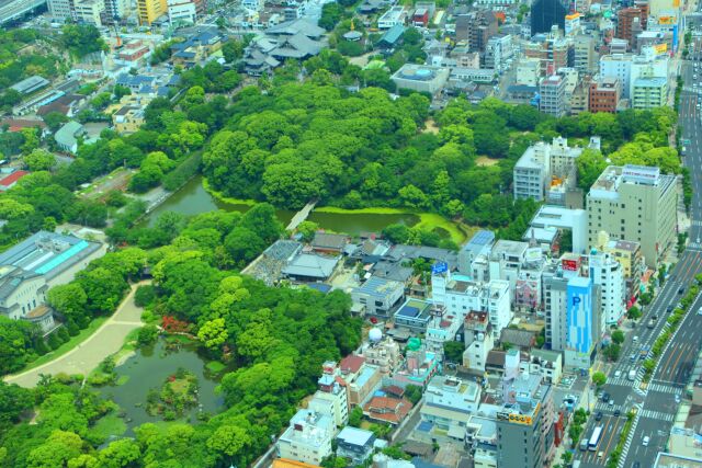 新緑の天王寺公園