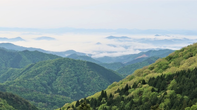 新緑の大江山からの雲海