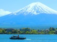 新緑の富士山