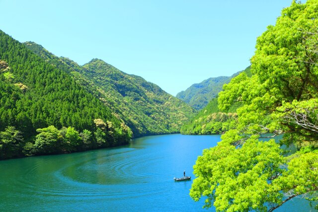 新緑の5月