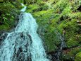 雨上がりの熊野古道