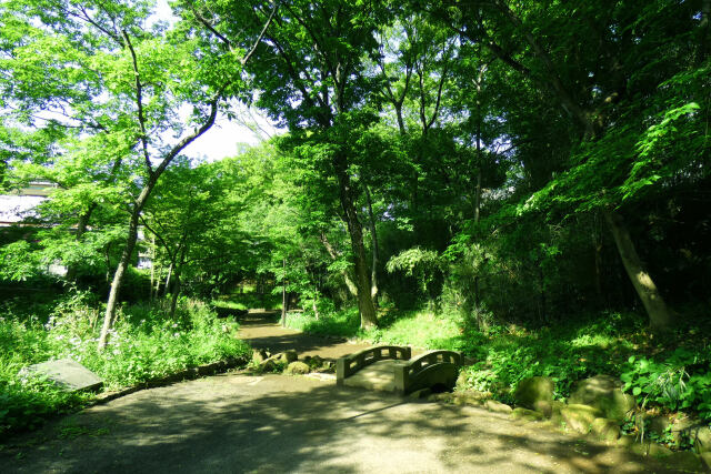 新緑の公園で