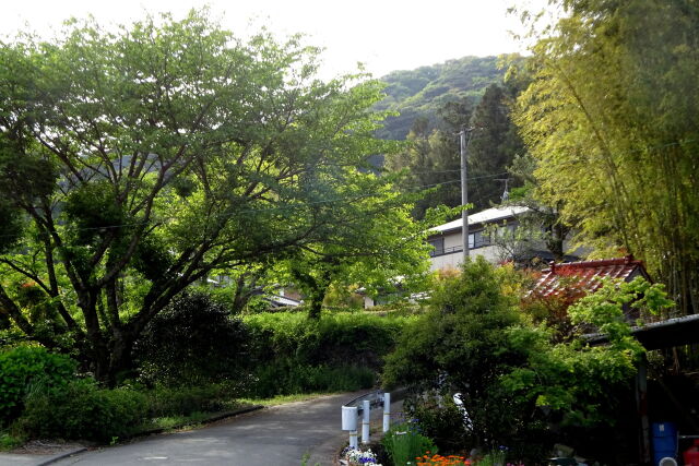 山村の春景色