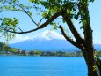 新緑の富士山