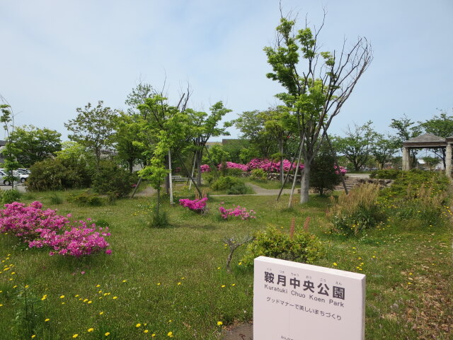 名前判明 鞍月中央公園 2021年