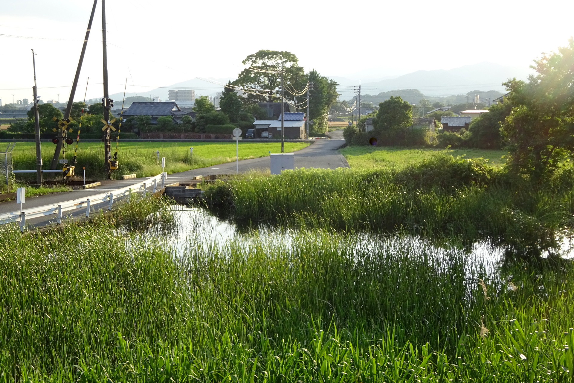 日本の風景 梅雨の中休み風景 壁紙19x1280 壁紙館