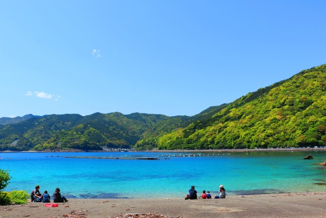 新緑の海