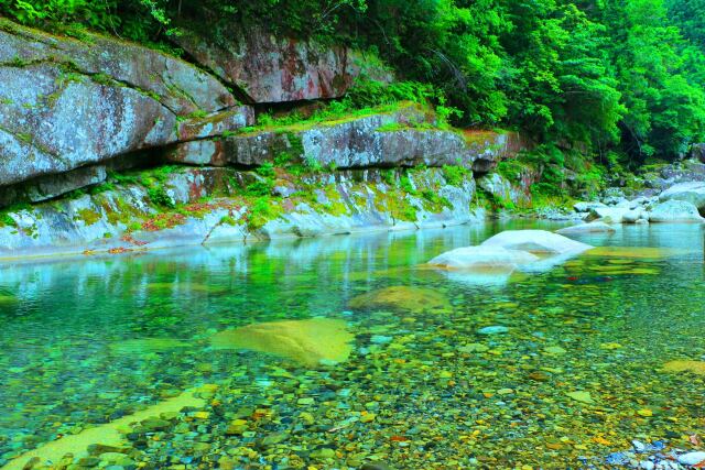 新緑の魚飛渓谷