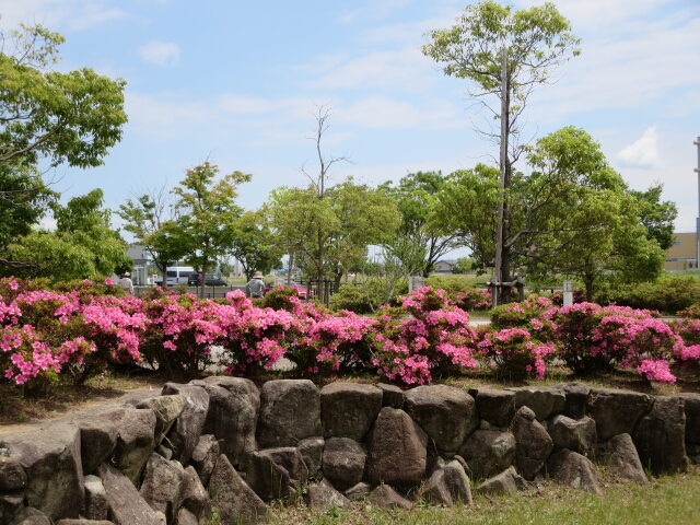 春から夏へ 2021年