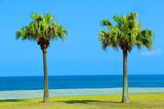 初夏の海