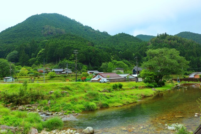 初夏の里山