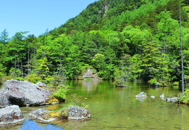 新緑の上高地