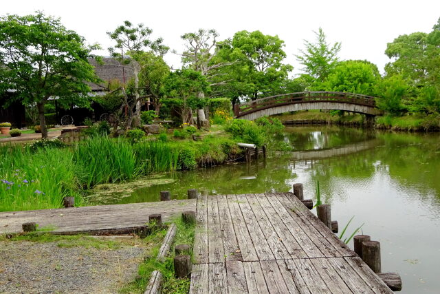 クリーク公園梅雨の季節