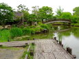 クリーク公園梅雨の季節