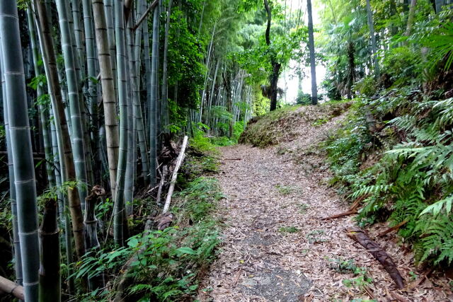 里山の峠道