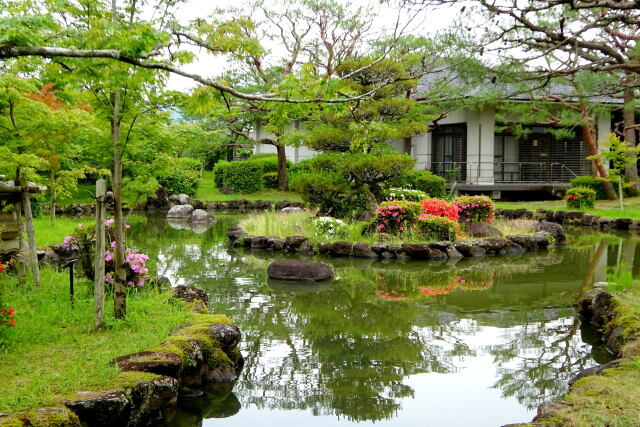 梅雨晴れの庭園