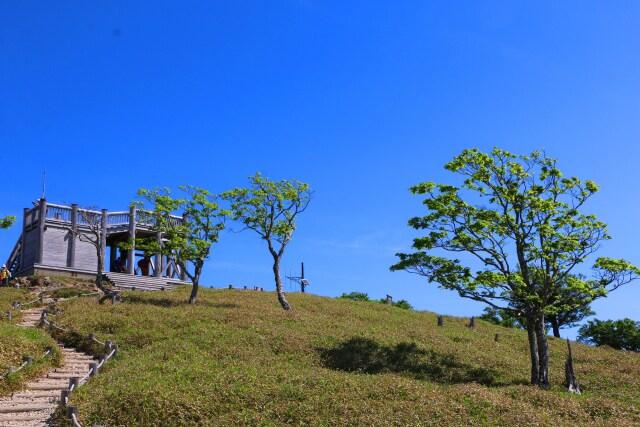 初夏の日出ヶ岳