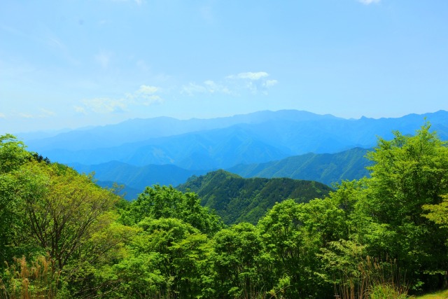 初夏の紀伊山地