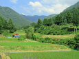 夏を迎える山里