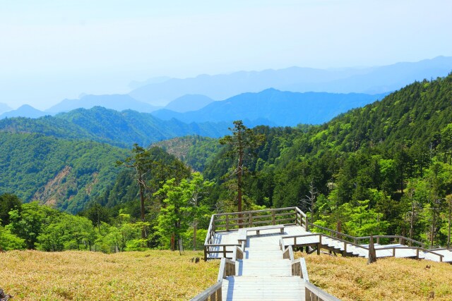 初夏の大台ケ原