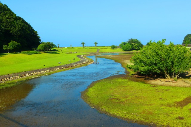 初夏の水辺