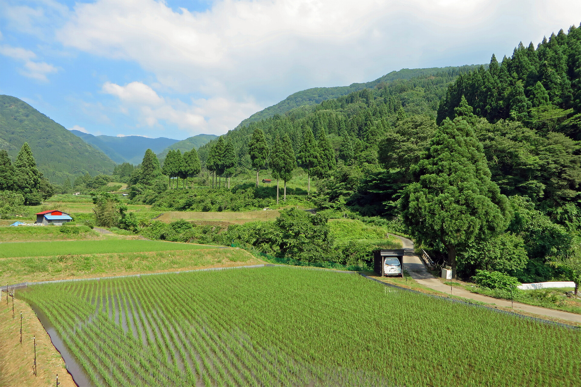 日本の風景 夏を迎える山里 3 壁紙19x1280 壁紙館