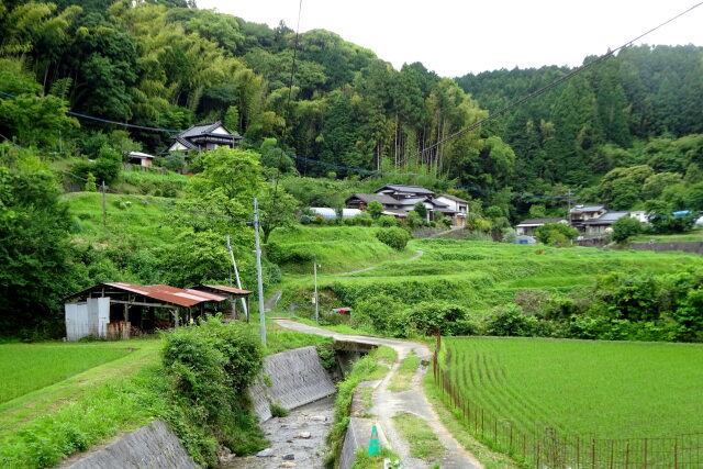 山村梅雨の季節