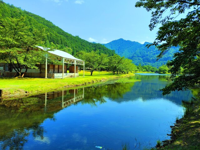 初夏の公園